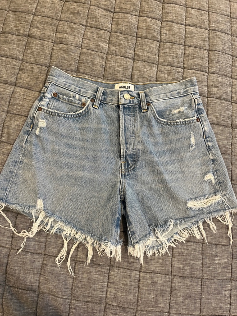 Agolde Parker Long Shorts in Swapmeet